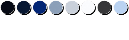 Sangeet Color Code Palette